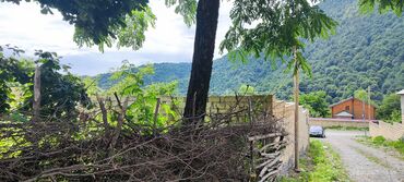 Torpaq sahələrinin satışı: Tikinti — 9