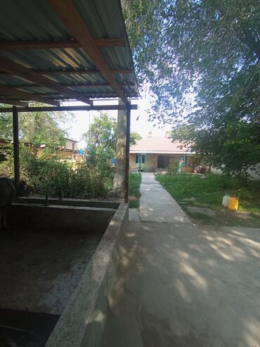 продается жилой дом с большим участкам в село кунтуу: Үй, 96 кв. м, 5 бөлмө, Менчик ээси, Косметикалык оңдоо