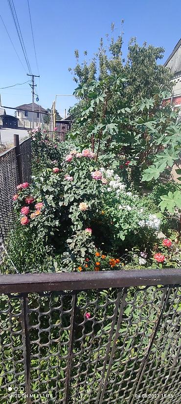 Продажа коттеджей и домов: Кирпичный дом с большим участком в г. Кант (с. Люксембург), в 20 км от — 3