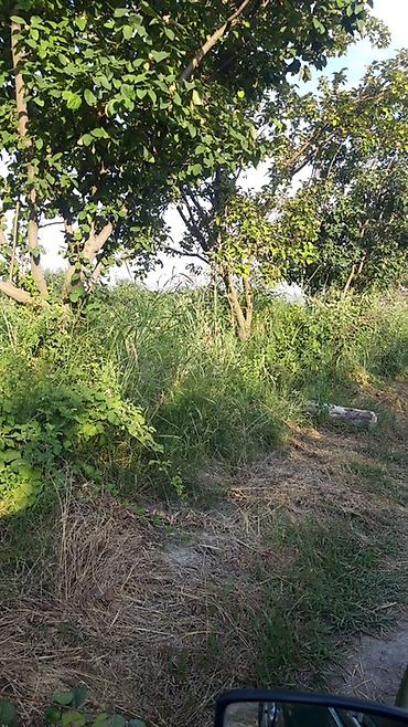 nəsimi rayon: 300 sot, Biznes üçün, Mülkiyyətçi, Kupça (Çıxarış) — 6