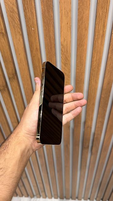 iphone 13 pro max mini 256gb: IPhone 13 Pro Max, 256 GB, Qızılı — 3