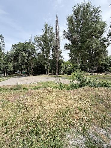 4: Вот более аккуратно и привлекательно оформленное объявление: 🏡 — 6