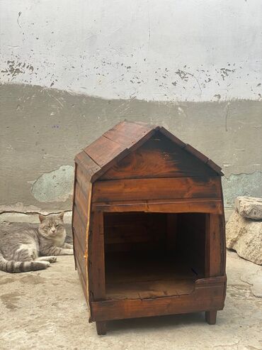 hamster yuvası: İt və pişik üçün rahat ev