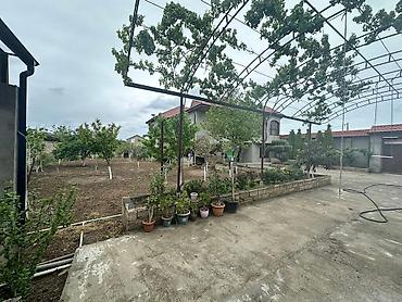 albali: Buzovna 6 otaqlı, 200 kv. m, Kredit yoxdur, Orta təmir — 3