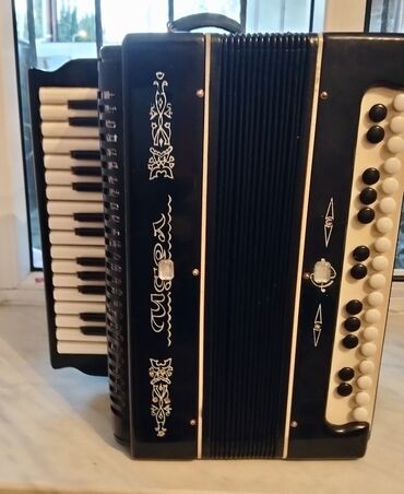 электронное пианино: Akustik Akkordeon