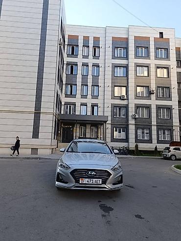 Hyundai Sonata: 2019 г., 2 л, Автомат, Газ, Седан