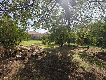 Torpaq sahələrinin satışı: 10 sot, Tikinti, Mülkiyyətçi, Kupça (Çıxarış) -da lalafo.az — 7 Torpaq sahələrinin satışı: 10 sot, Tikinti, Mülkiyyətçi, Kupça (Çıxarış) — 7