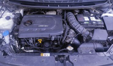 Kia: Kia K3: 1.6 l | 2017 il Sedan — 7