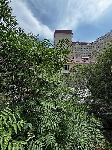 Продажа квартир: 3 комнаты, 74 м², Индивидуалка, 4 этаж, Старый ремонт — 14