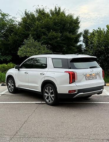 volvo fx480: Hyundai Palisade: 2019 г., 2.2 л, Автомат, Дизель, Кроссовер — 4
