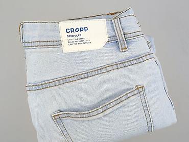 cargo cropp: Denim, Jeansy dla mężczyzn, rozmiar S — 5