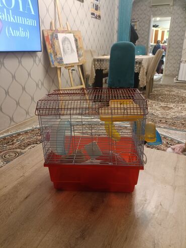 клетки для бойцовых петухов: Xoruz və ya xırda gəmiricilər üçün qəfəs - Kompakt ölçülü metal torlu