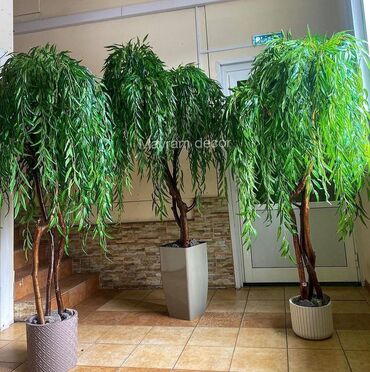 новогодний декор бишкек: Искусственные деревья и растения для вашего интерьера в большом