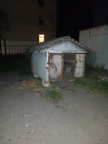 kiosk satici: Metal korpuslu kiçik anbar/boks tipli köşk. - Karkas: tamamilə — 1