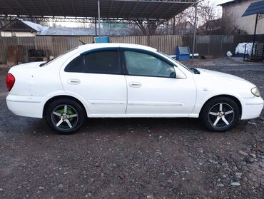 машина нисан: Nissan Bluebird: 2003 г., 1.8 л, Автомат, Бензин, Седан