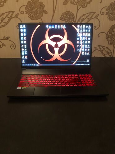 внешняя видеокарта: Ноутбук, MSI, 16 ГБ ОЗУ, Intel Core i7, 17.3 ", Б/у, Игровой, память HDD + SSD