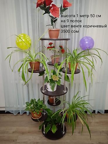 витринные вешалки: Этажерки для комнатных растений Варианты: - Белая, 10 полок, высота 1 — 6