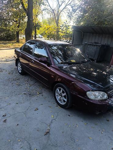 bmw 2: Kia Spectra: 2008 г., 1.6 л, Автомат, Бензин, Седан — 3