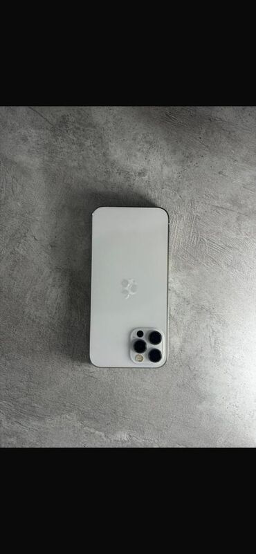 Apple iPhone: IPhone 12 Pro Max, Серебристый — 4