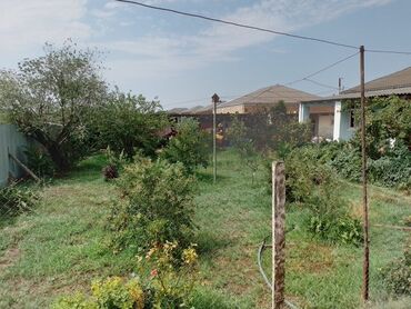 Həyət evləri və villaların satışı: Həyət evləri və villaların satışı — 7