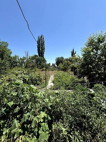 80: 📌В селе Беловодское продаётся дом на участке 8 соток. ▪️Дом из 4-х — 3