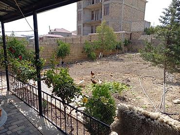 Həyət evləri və villalar: 3 otaqlı, 150 kv. m, Orta təmir — 5