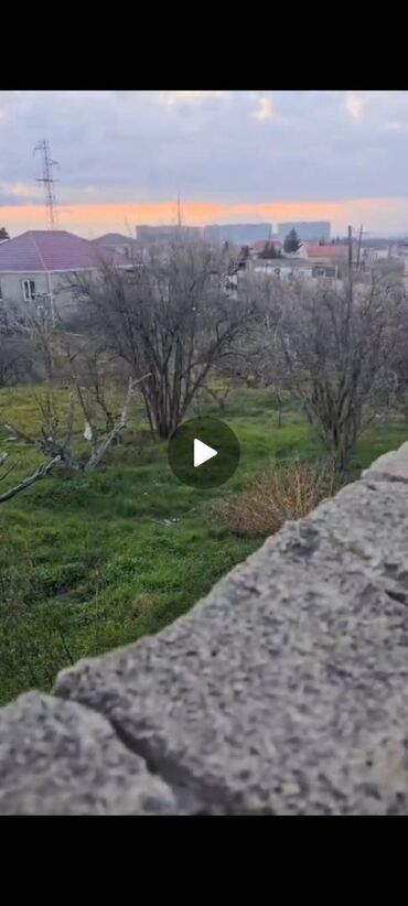 Kirayə torpaq sahələri: 12 sot, Mülkiyyətçi, Kupça (Çıxarış)