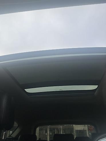 Ford: Ford – kompaktni SUV/krosover, enterijer - Kožni multifunkcionalni — 15