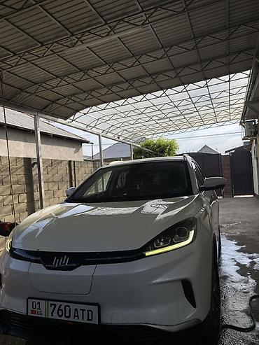 BYD: BYD : 2020 г., Электромобиль, Кроссовер — 10