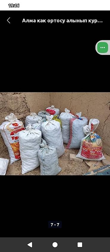 Другие фрукты: Алма как ортосу алынып күндүн нуруна кургатылган курук таптаза өрүк — 5