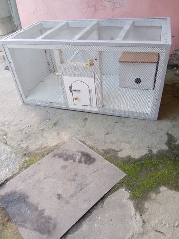 стрижка собак на дому: İstifadəyə yararli keyfiyətli quş yuvasi at lalafo.az стрижка собак на дому: İstifadəyə yararli keyfiyətli quş yuvasi