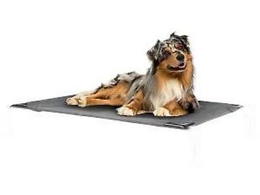 Oprema za kućne ljubimce: Povišeni krevet za pse – Zoofari - Stabilna, metalna konstrukcija sa — 8