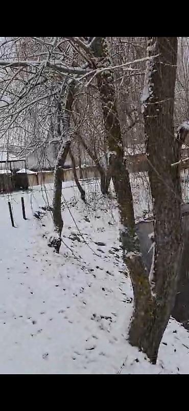 Bağ evlərinin satışı: Qəbələ, 16000 kv. m, 3 otaqlı, Hovuzsuz, İnternet — 8