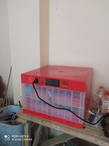 İnkubatorlar: Qırmızı rəngdə, rəqəmsal displeyli inkubator. İstənilən ev təsərrüfatı