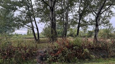 Torpaq sahələrinin satışı: 10 sot, Kupça (Çıxarış) — 4