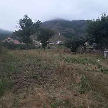 yari tikili evlər: Tikinti, Mülkiyyətçi, Kupça (Çıxarış) — 6