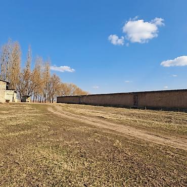 Батирлер: 🏡 Продаётся жилой дом с кошарой на участке 51,86 сотки 📍 Московский — 1