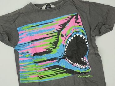 T-shirts: T-shirt, 5-6 years, 110-116 cm, condition - Fair