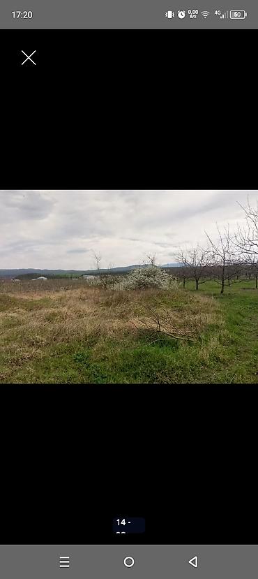 Torpaq sahələrinin satışı: Kənd təsərrüfatı — 13