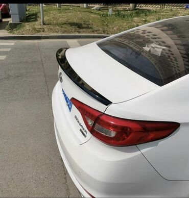 воск для машины: Арткы спойлер Hyundai 2019 г., Жаңы, Оригинал