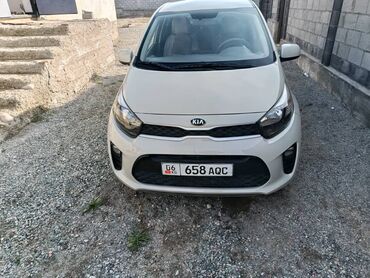 пижо машина: Kia Picanto: 2019 г., Автомат, Бензин, Хэтчбэк
