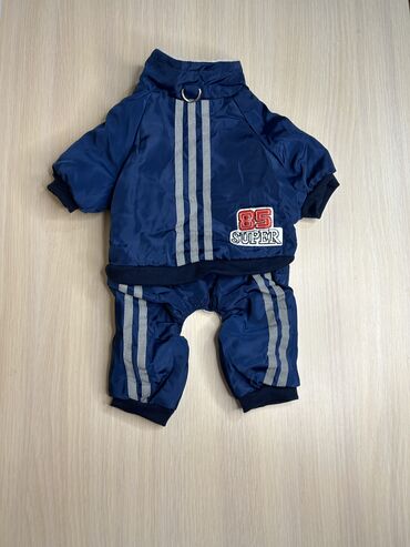 купить ошейник для щенка: Одежда для собак и кошек, большой выбор Все НОВОЕ РАЗМЕР И ЦЕНА