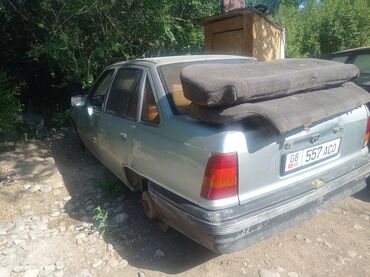 купить запчасти на опель вектра б: Opel Kadett: 1993 г., 1.3 л, Механика, Бензин, Седан