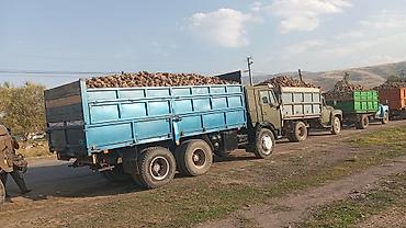 Грузовики: Грузовик, Камаз, Дубль, Б/у — 9