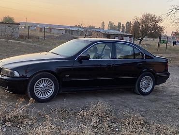 ноздри бмв е34: BMW 5 series: 2003 г., 2.5 л, Автомат, Бензин, Седан — 6