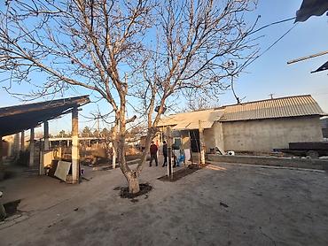 Продажа участков: 9 соток, Для строительства, Красная книга, Тех паспорт — 7