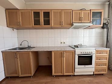 Кухонные гарнитуры: Кухонный гарнитур — 2