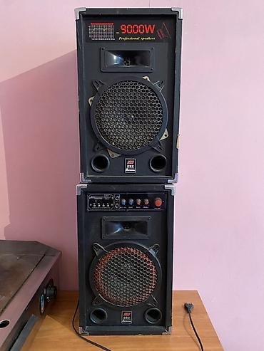калонки на прокат: Пара напольных акустических систем SH (Professional Speakers) с — 3