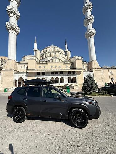 forester 2003: Subaru Forester: 2022 г., Вариатор, Бензин, Кроссовер — 3