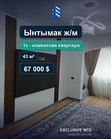 67: 1 комната, 43 м², Ынтымак ж/м 106 серия улучшенная, 5 этаж, Евроремонт — 1